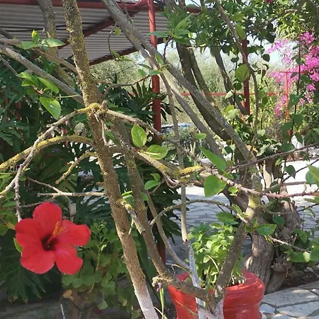 Villa Mimika Vasilikí