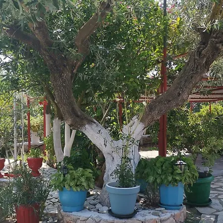 Mimika * Vasilikos (Zakynthos)